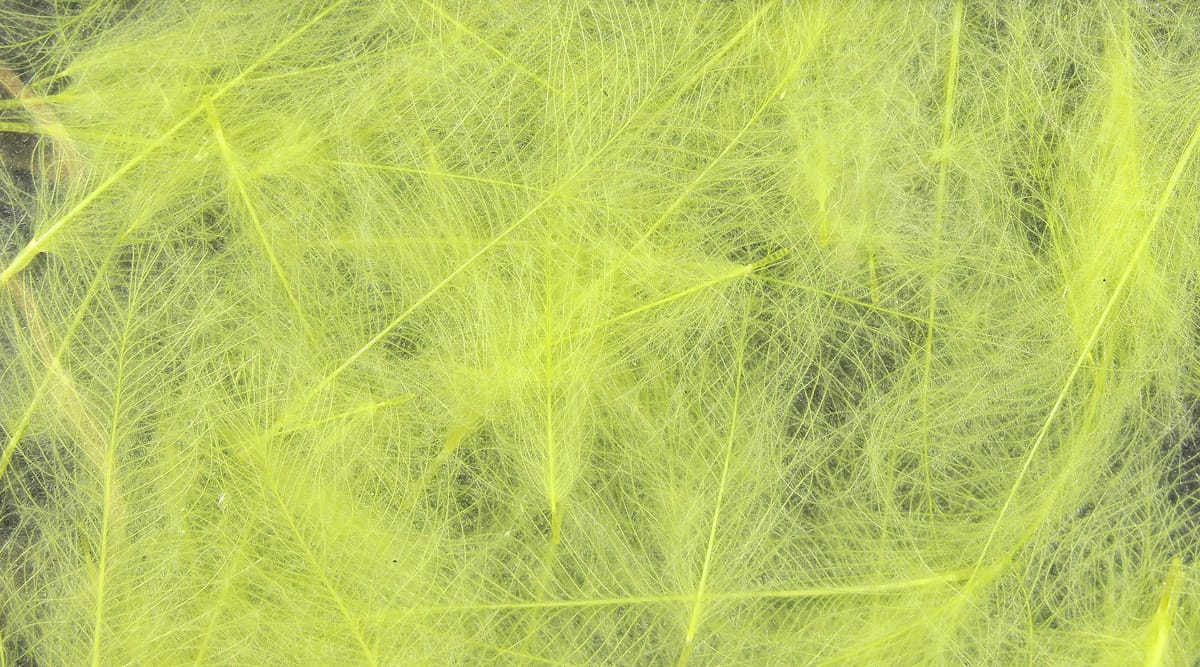 Spirit River UV2 Select CDC Feathers