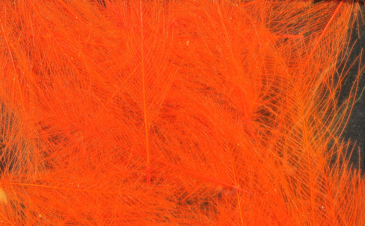 Spirit River UV2 Select CDC Feathers