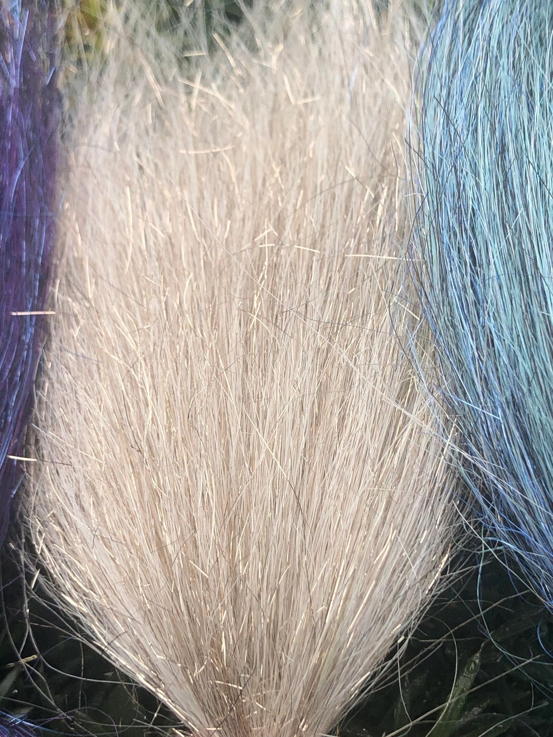 Squimpish Boutique Sparkle Blend