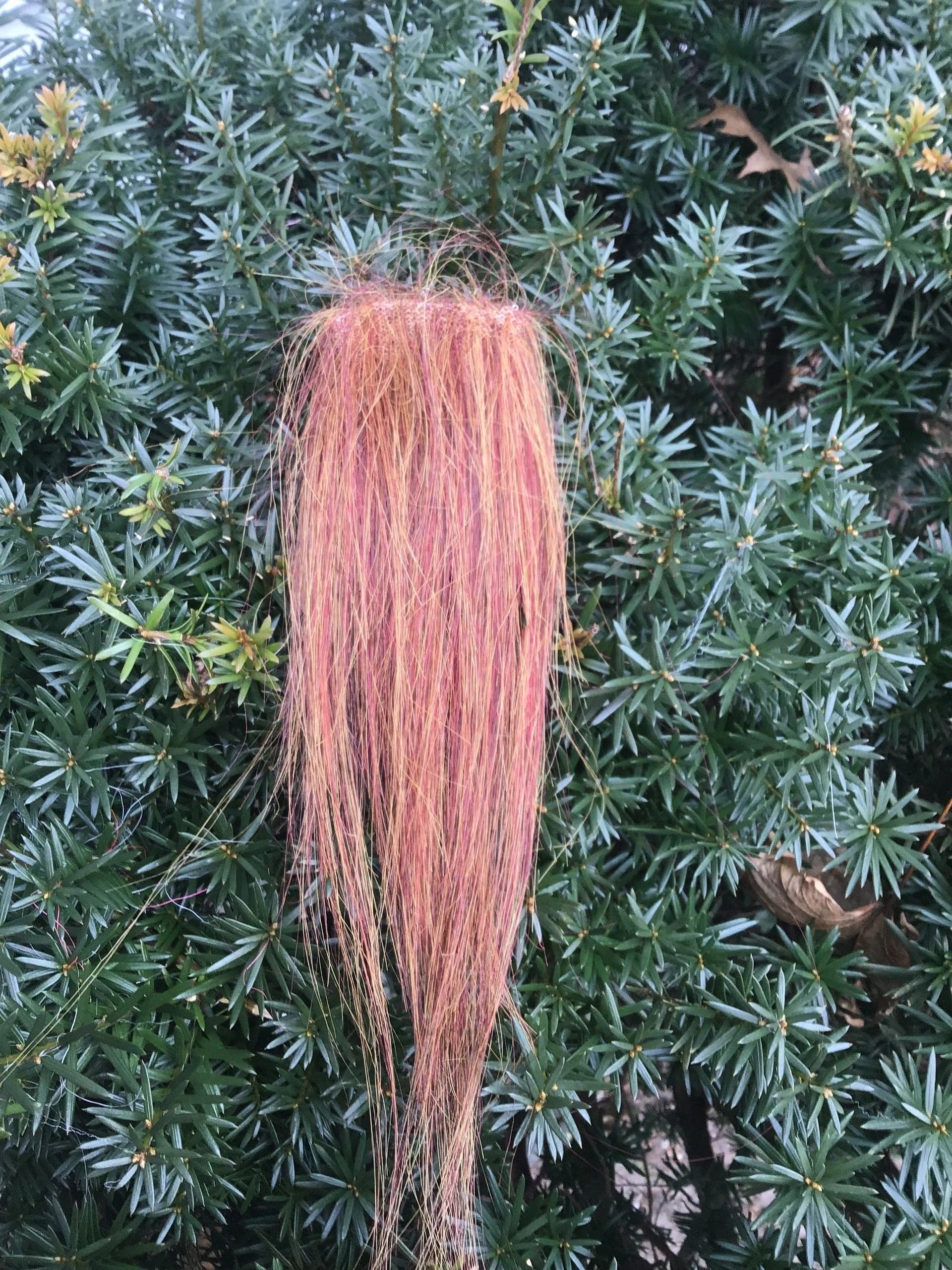 Squimpish Hair Synthetic Fly Tying Material