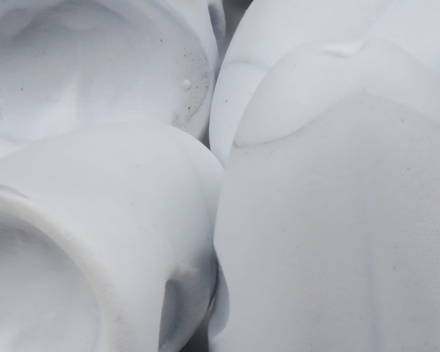 Surface Seducer Double Barrel Popper Bodies