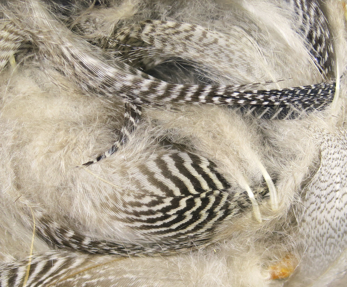 Hareline Teal Flank Feathers