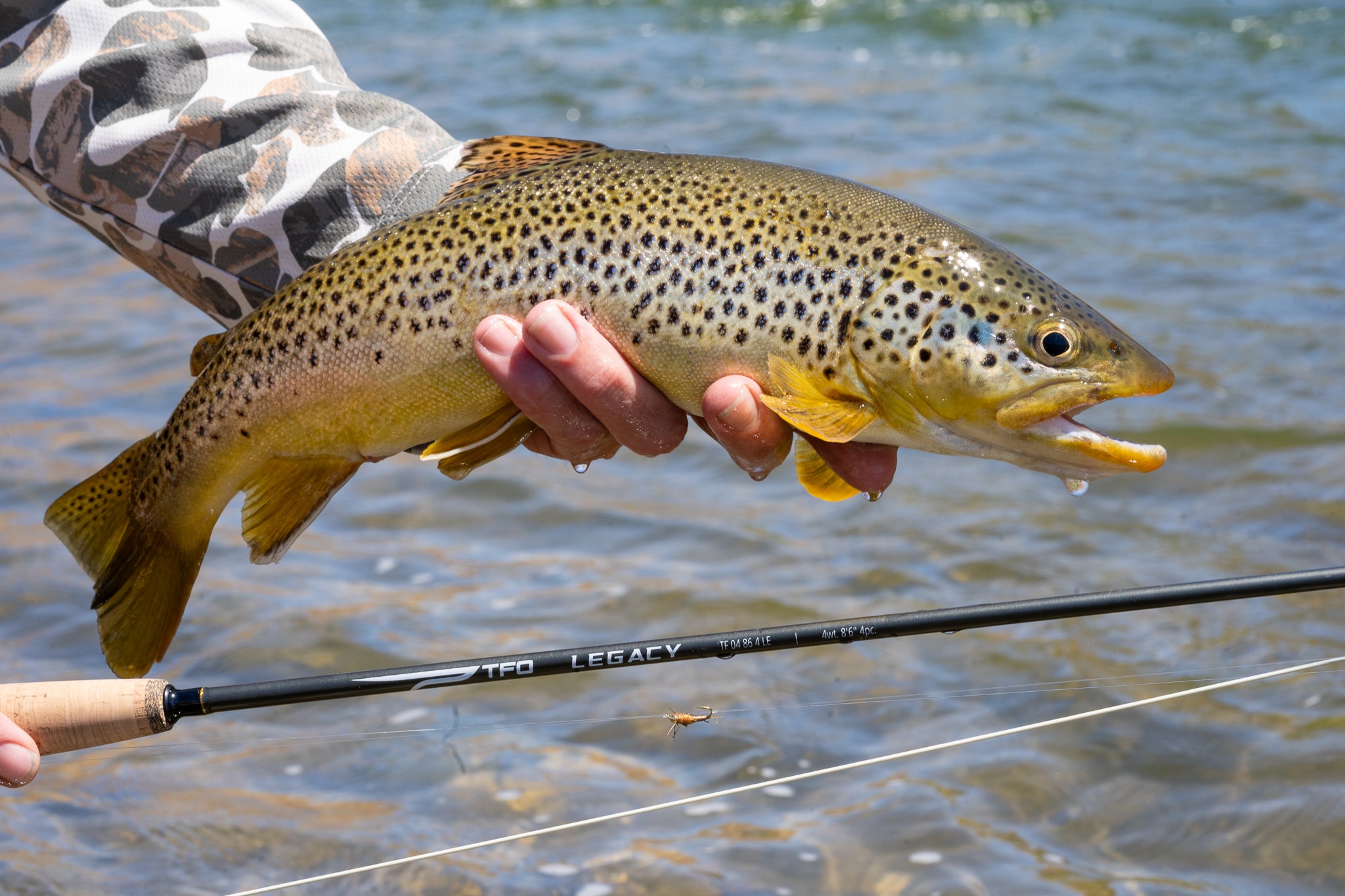 Angler casting the TFO Legacy Fly Rod on a river