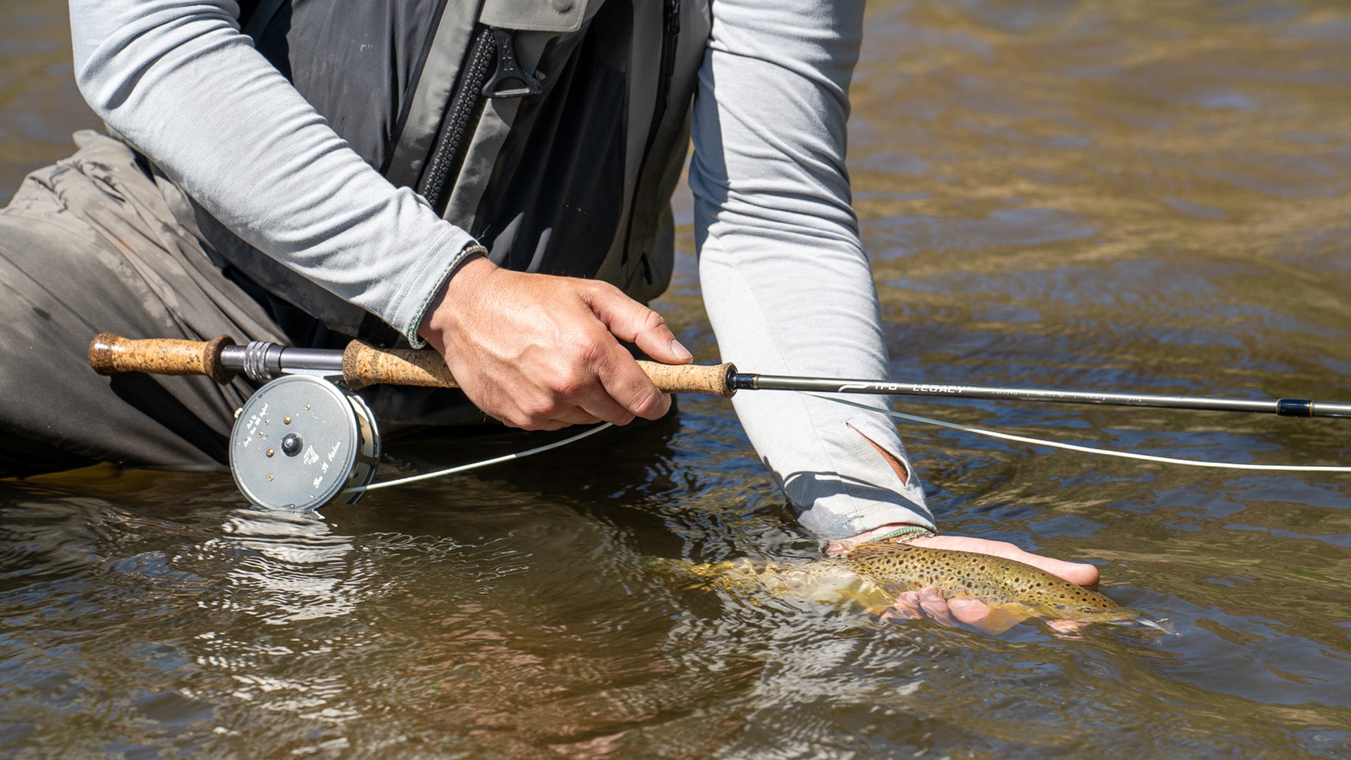 Brown trout caught on the TFO Legacy Two-Handed trout spey rod