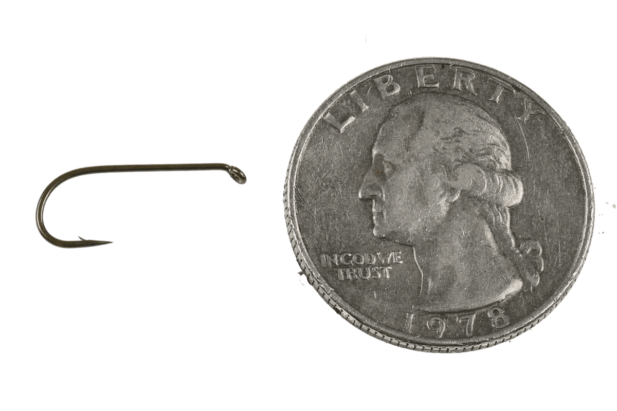 Tiemco TMC 100 dry fly hook beside a US quarter for size comparison, showing a bronze-finished curved shank and fine wire