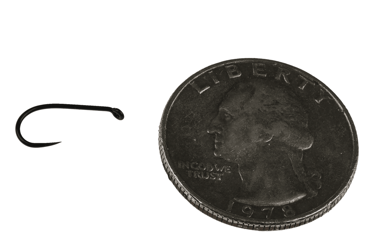 Black Tiemco TMC 113BLH nymph fly hook with curved bend and turned-down eye, shown beside a 1978 quarter for scale