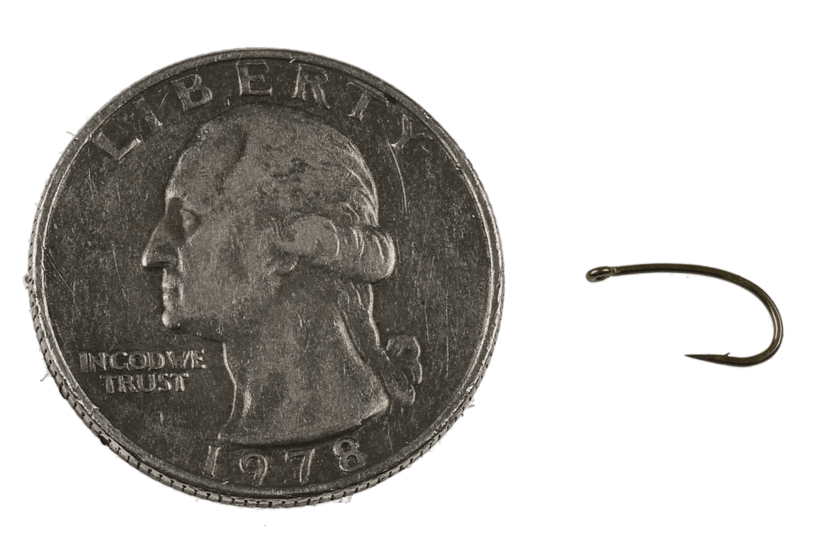 Tiemco TMC 2487 bronze fly tying hook beside a 1978 US quarter for scale, showing its curved shank and sharp barb.