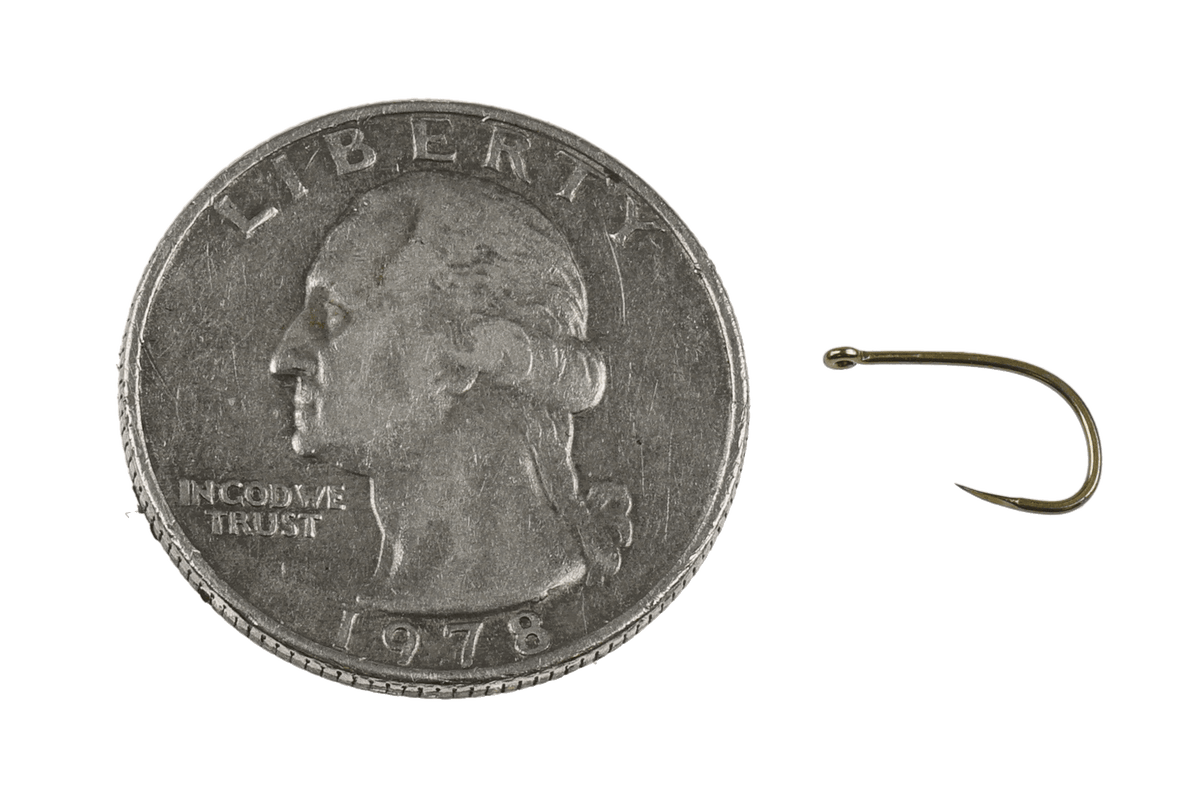 Tiemco TMC 2499SP-BL black nymph fly hook beside a 1978 quarter for scale, showing its curved bend and small eye
