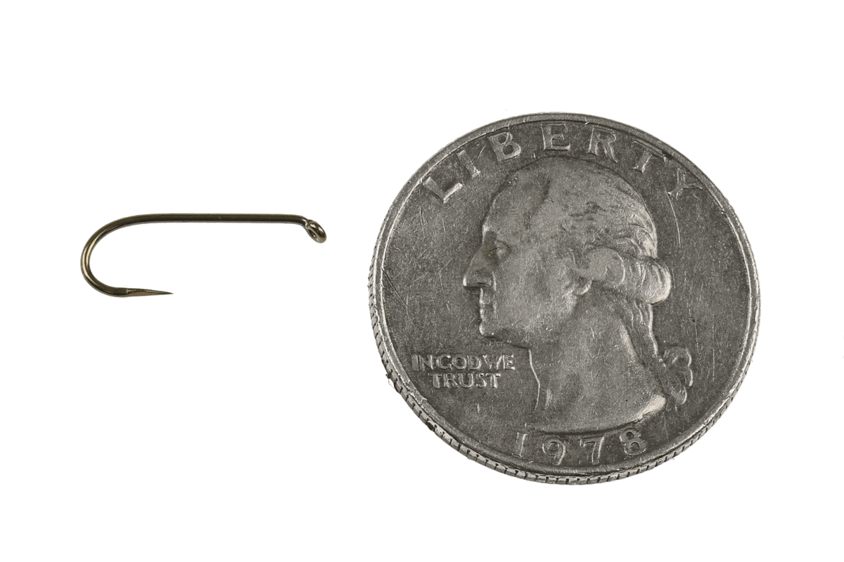 Bronze barbless wet fly hook beside a 1978 US quarter for size comparison, Tiemco TMC 3761SP-BL fly tying hook