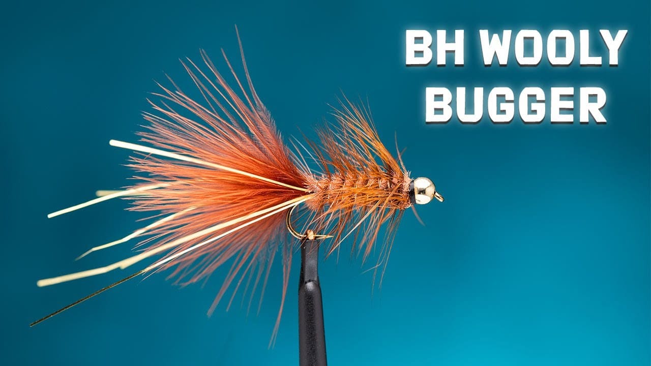 Bead Head Wooly Bugger Fly Tying Video Material Kit