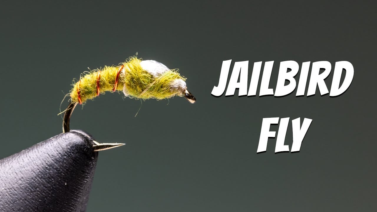 Jailbird Fly Tying Video Material Kit