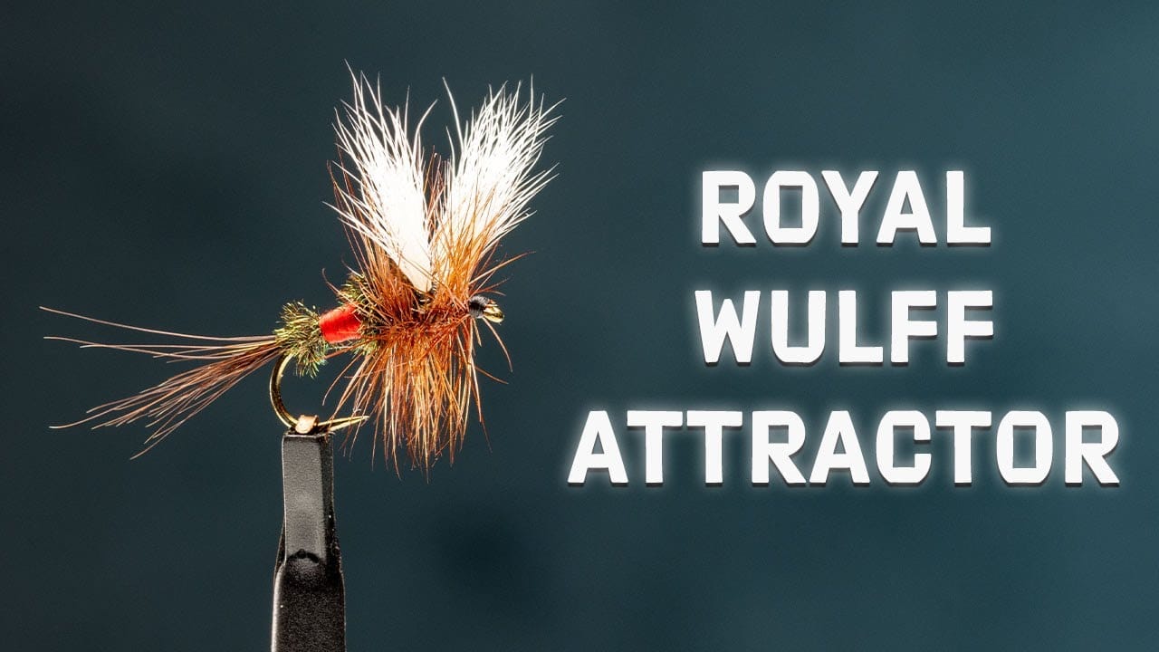 Royal Wulff Attractor Fly Tying Video Material Kit