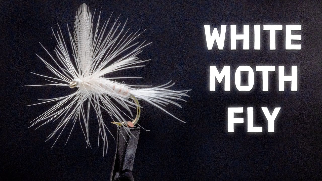 White Moth Fly Tying Video Material Kit