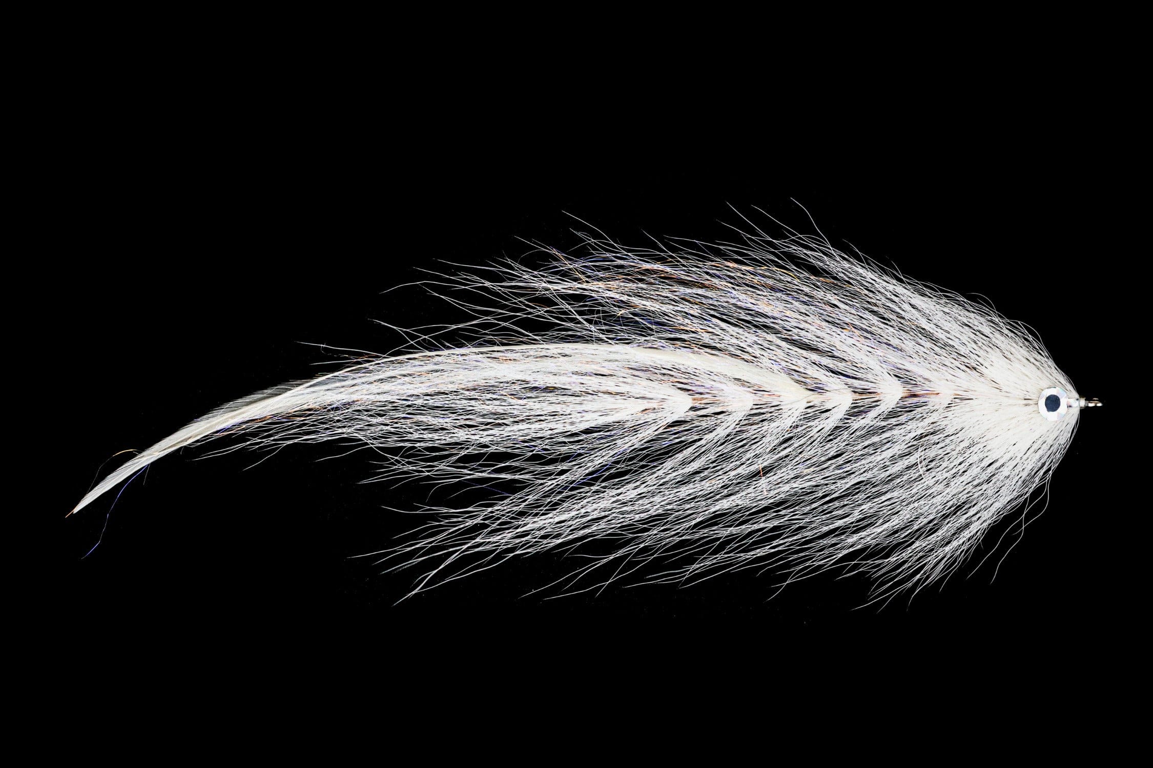 Beast Fleye