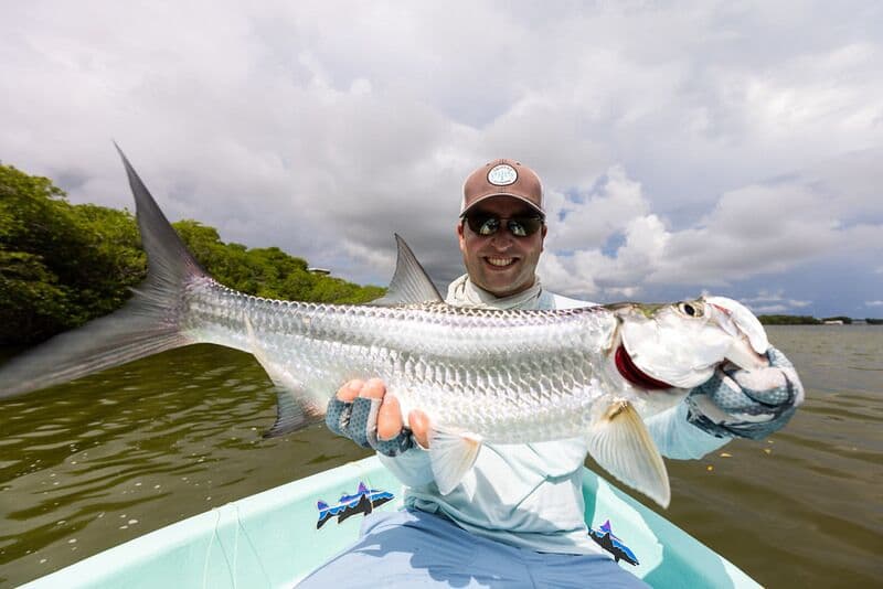 Belize Fly Selection