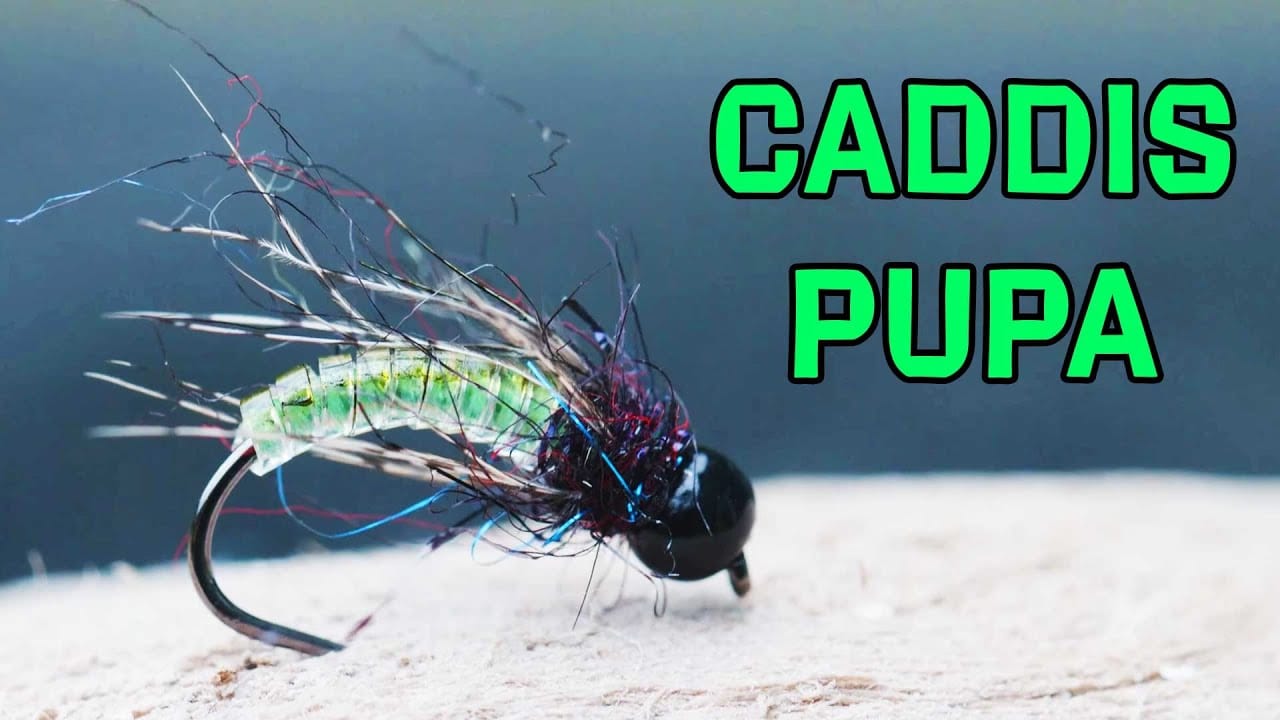 Caddis Pupa Fly Tying Video Material Kit - Image 1