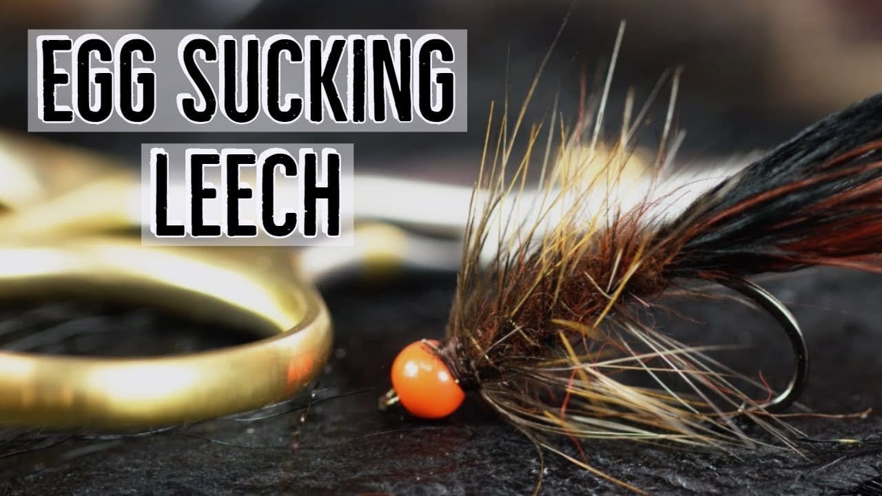 Egg Sucking Leech Fly Tying Video Material Kit - Image 1