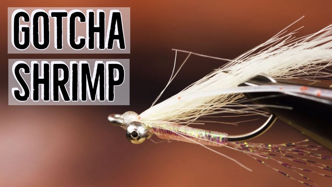 Gotcha Shrimp Fly Tying Video Material Kit Trident Fly Fishing