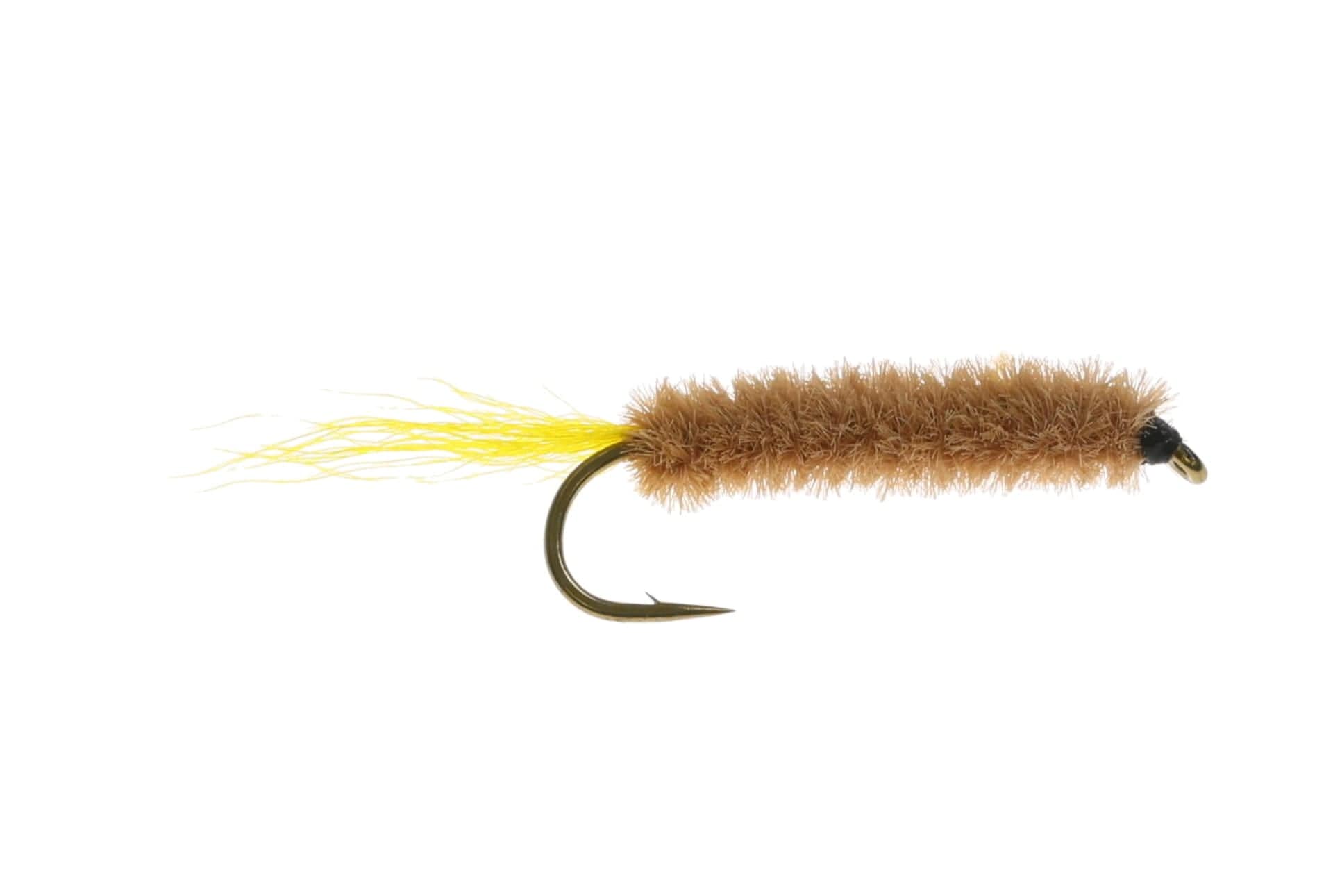 Maple Syrup Fly