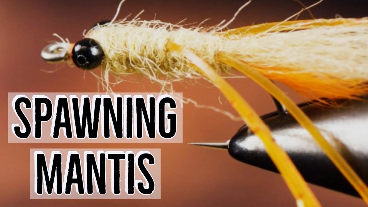 Spawning Mantis Shrimp Fly Tying Video Material Kit