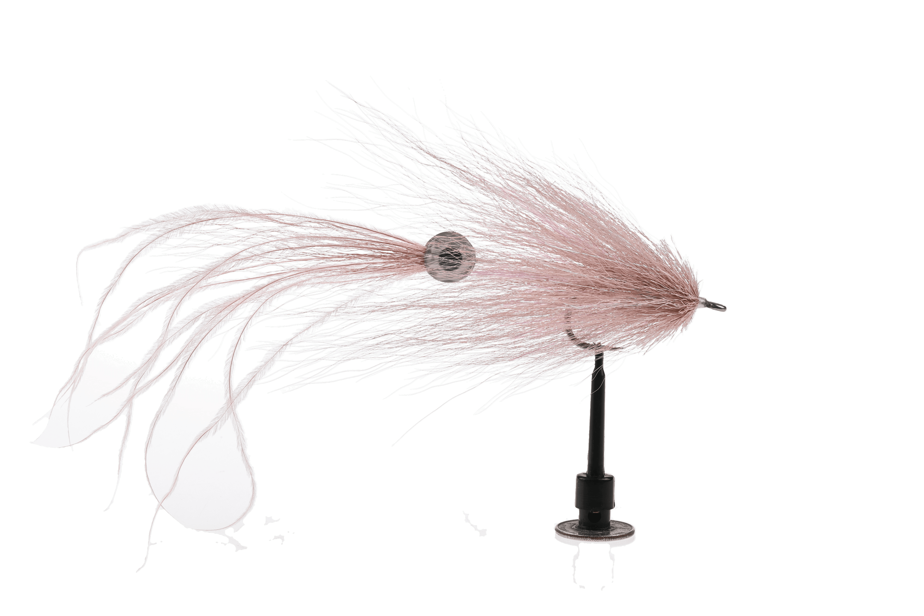 Squid Best Fleye