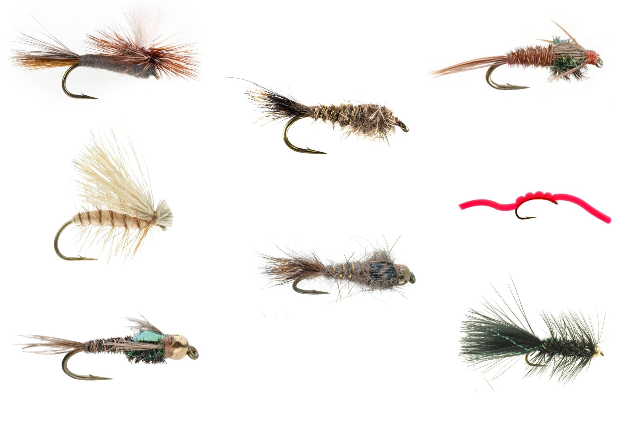 Trout Basics Fly Selection - Image 1