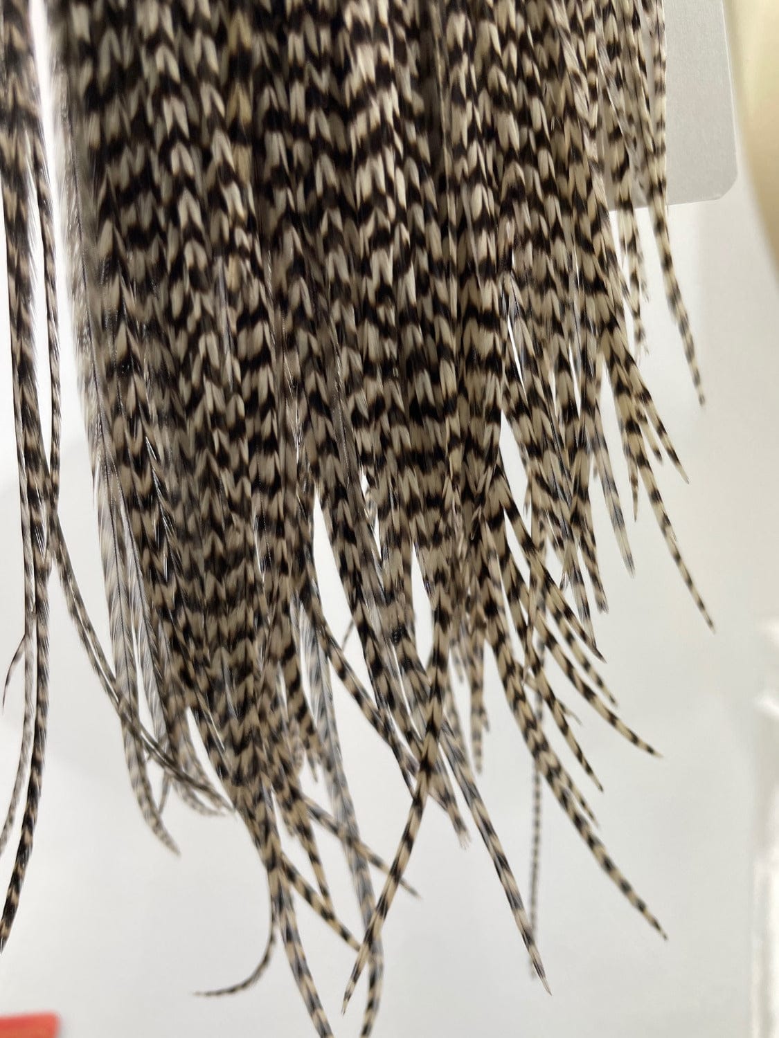 Feather & Hackle Photography & Measurement - FINAL SALE
