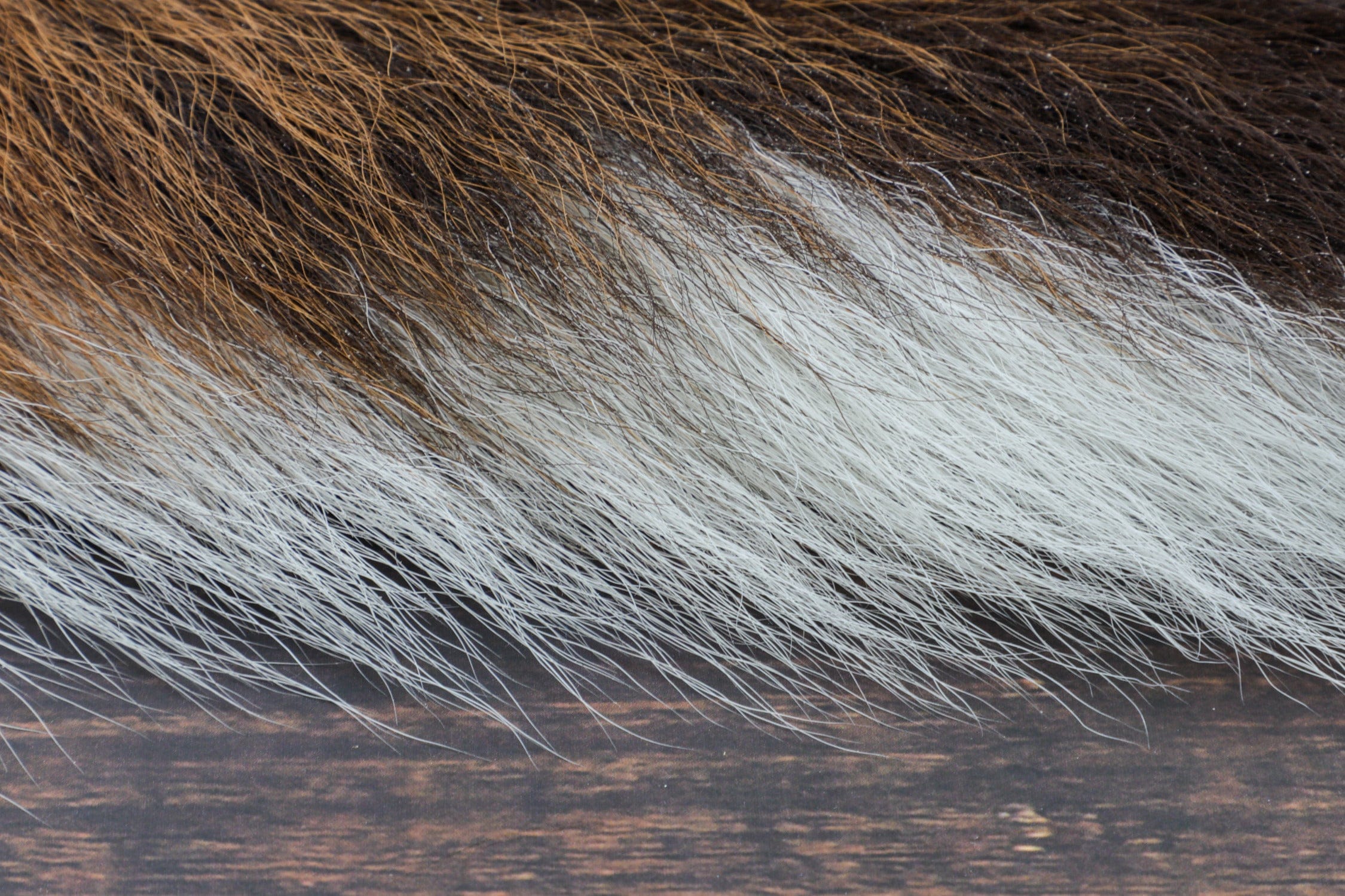 Trident Premium Bucktail
