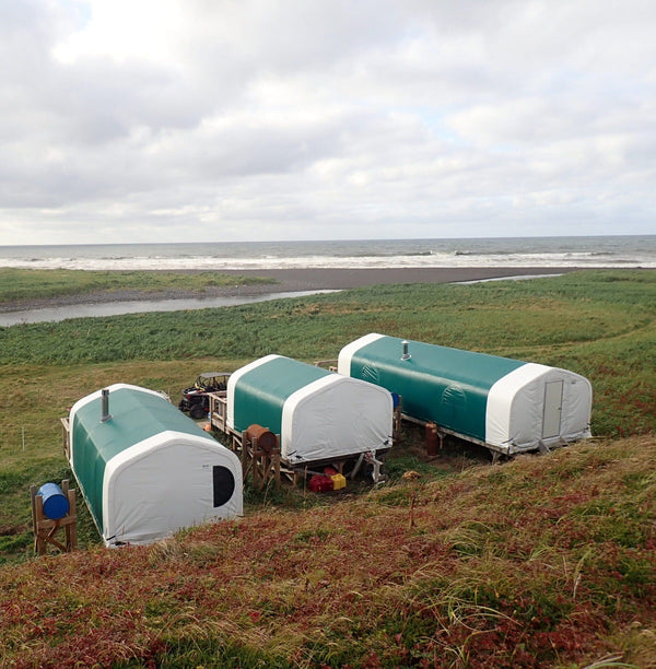 Green-and-white rounded canvas camp pods on wooden platforms overlooking grassy dunes, black sand beach and gray ocean
