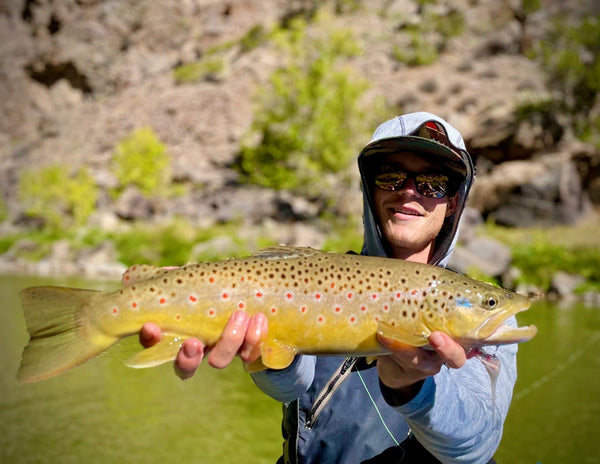 Black Canyon Anglers