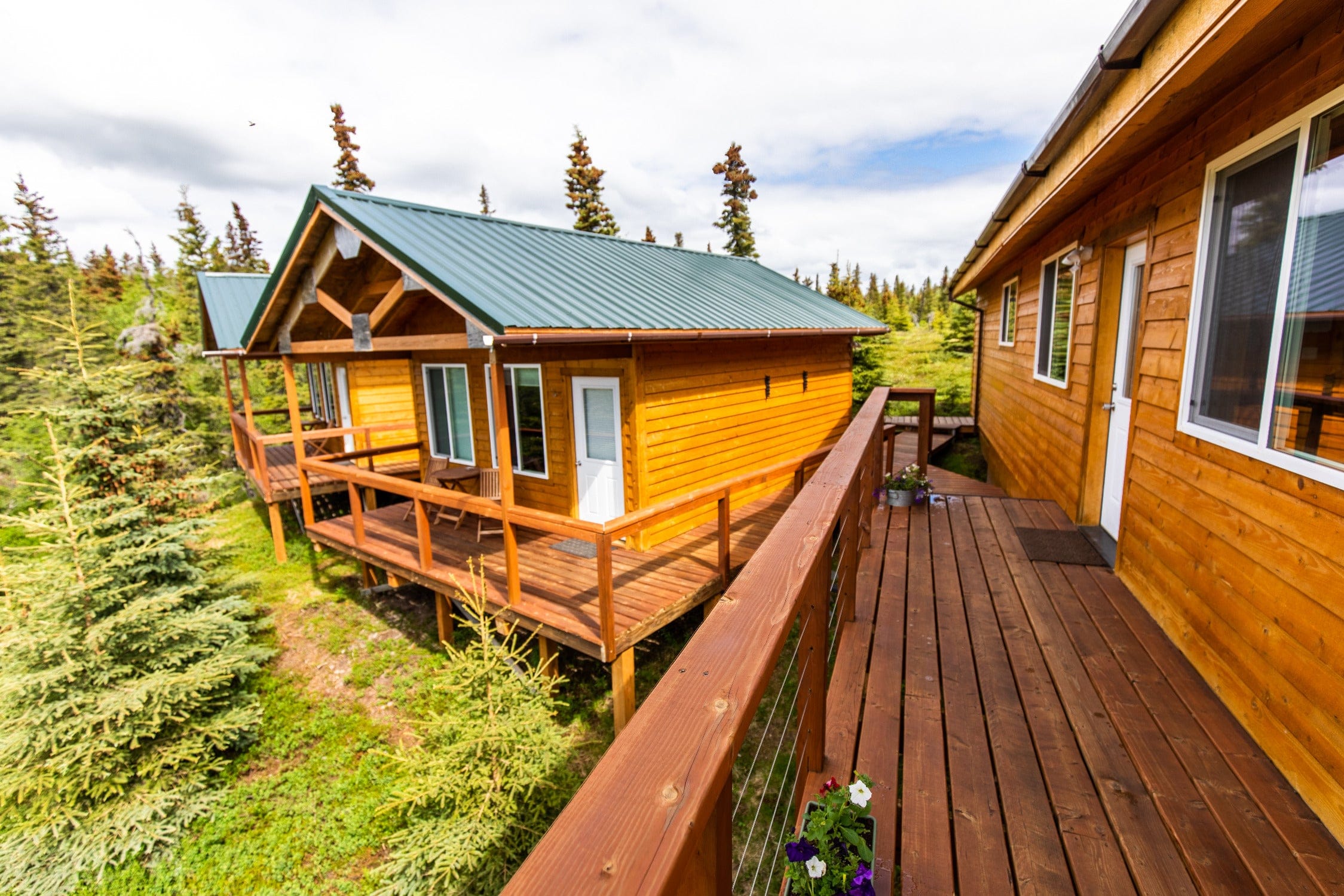 Honey-toned wooden lodge cabin with green corrugated metal roof, raised cedar deck and flower boxes amid spruce forest