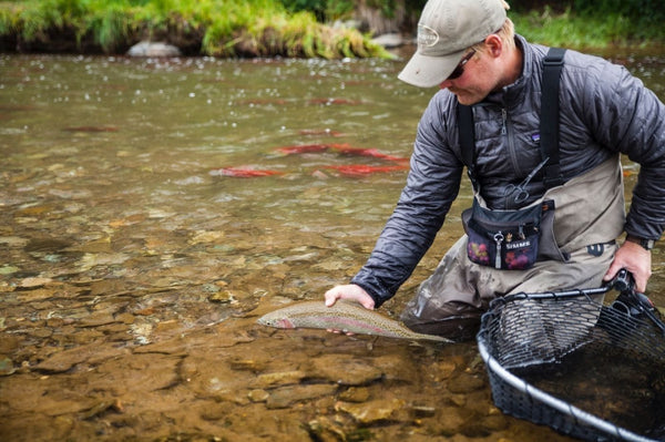 Man in gray jacket and tan waders kneels in shallow Copper River holding a rainbow trout beside a black fishing net