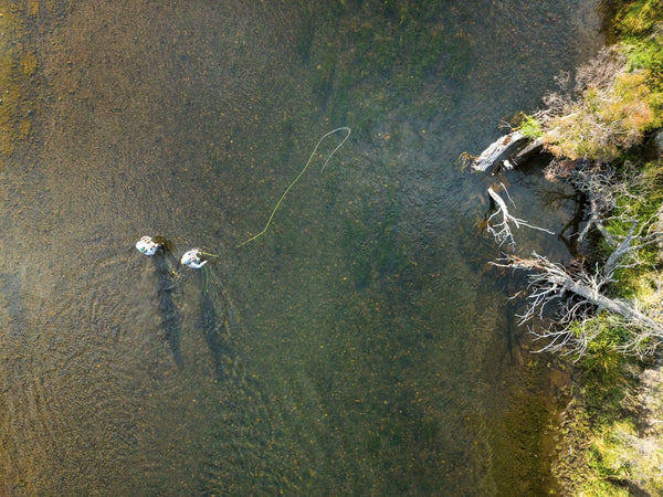 Aerial view of two anglers wading in shallow brown-green river casting a fly fishing line near grassy bank with bleached