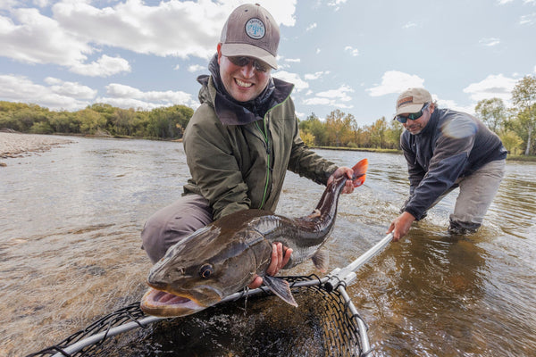 Two anglers in olive jacket and tan caps releasing a large brown fish with orange tail in shallow water during a fishing trip