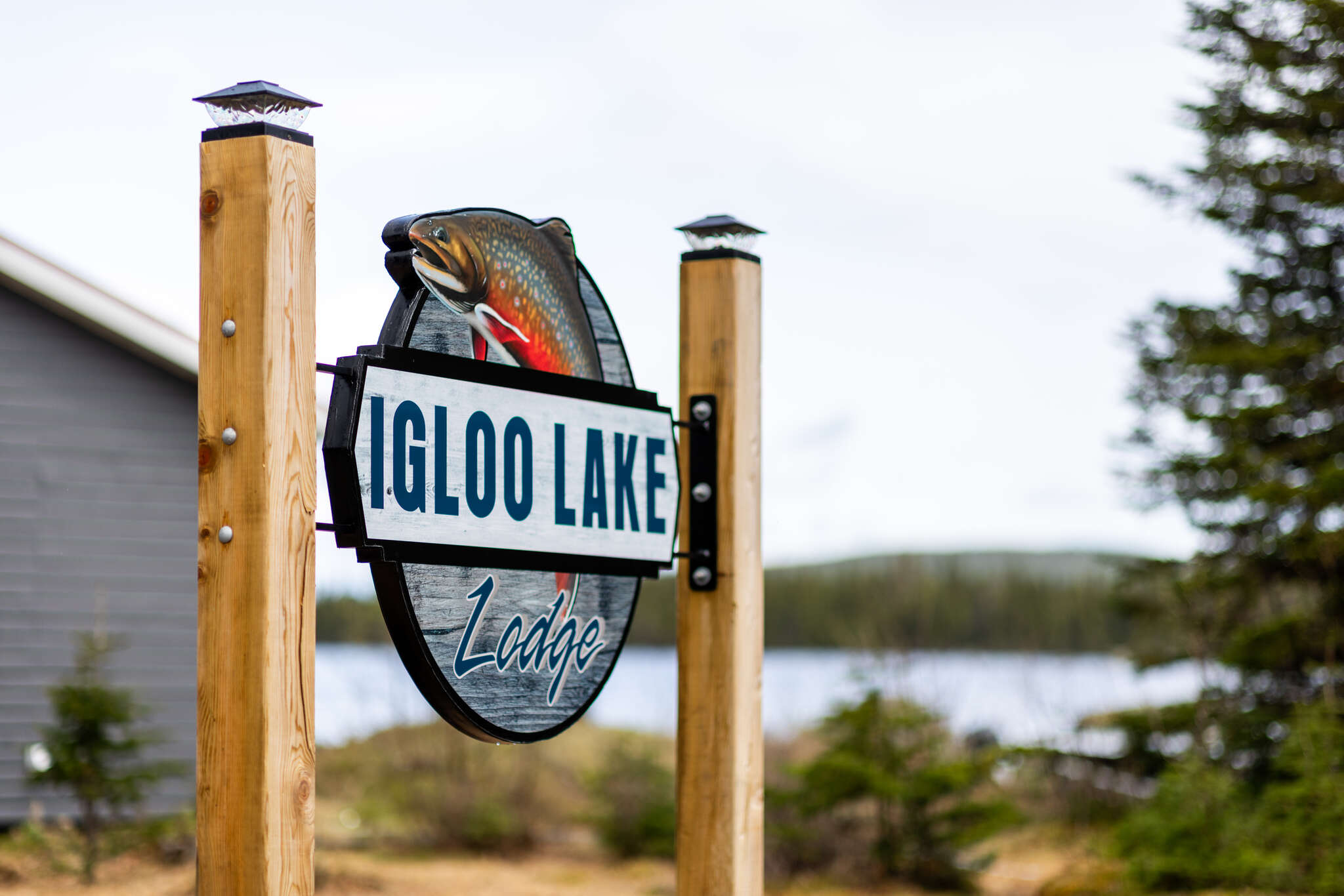 Igloo Lake Lodge