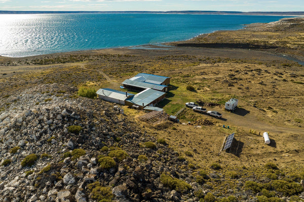 Jurassic Lake Lodge