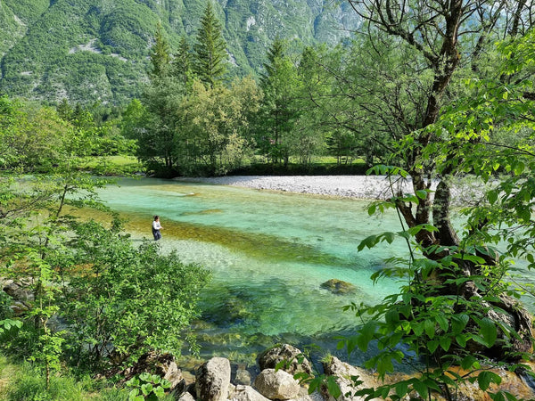Turquoise Krka River with clear shallow water, pebbled shore, lush green trees and mountains, person wading on river trip