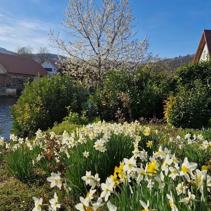 Krka River Lodge