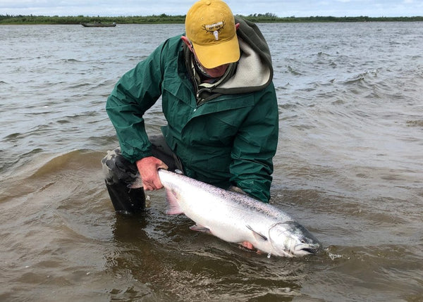 Angler in green waterproof jacket and yellow cap kneels in shallow river holding a large silver salmon on a fishing trip