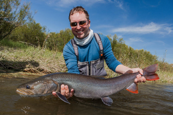 Angler in blue shirt and gray waders holding large brown trout in shallow river on MRO Combination trip