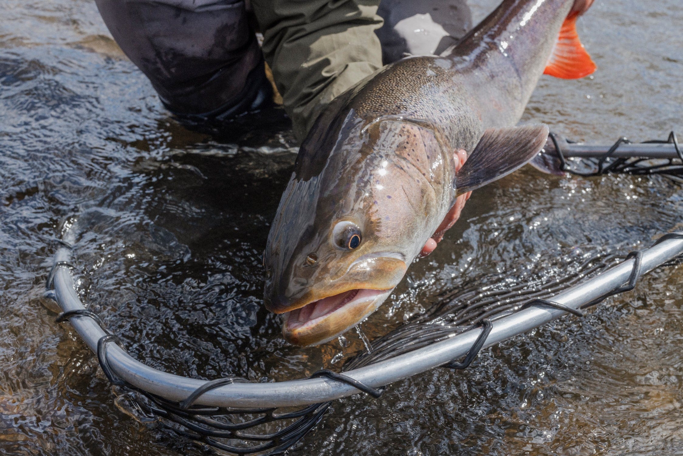 MRO Lower River Expeditions