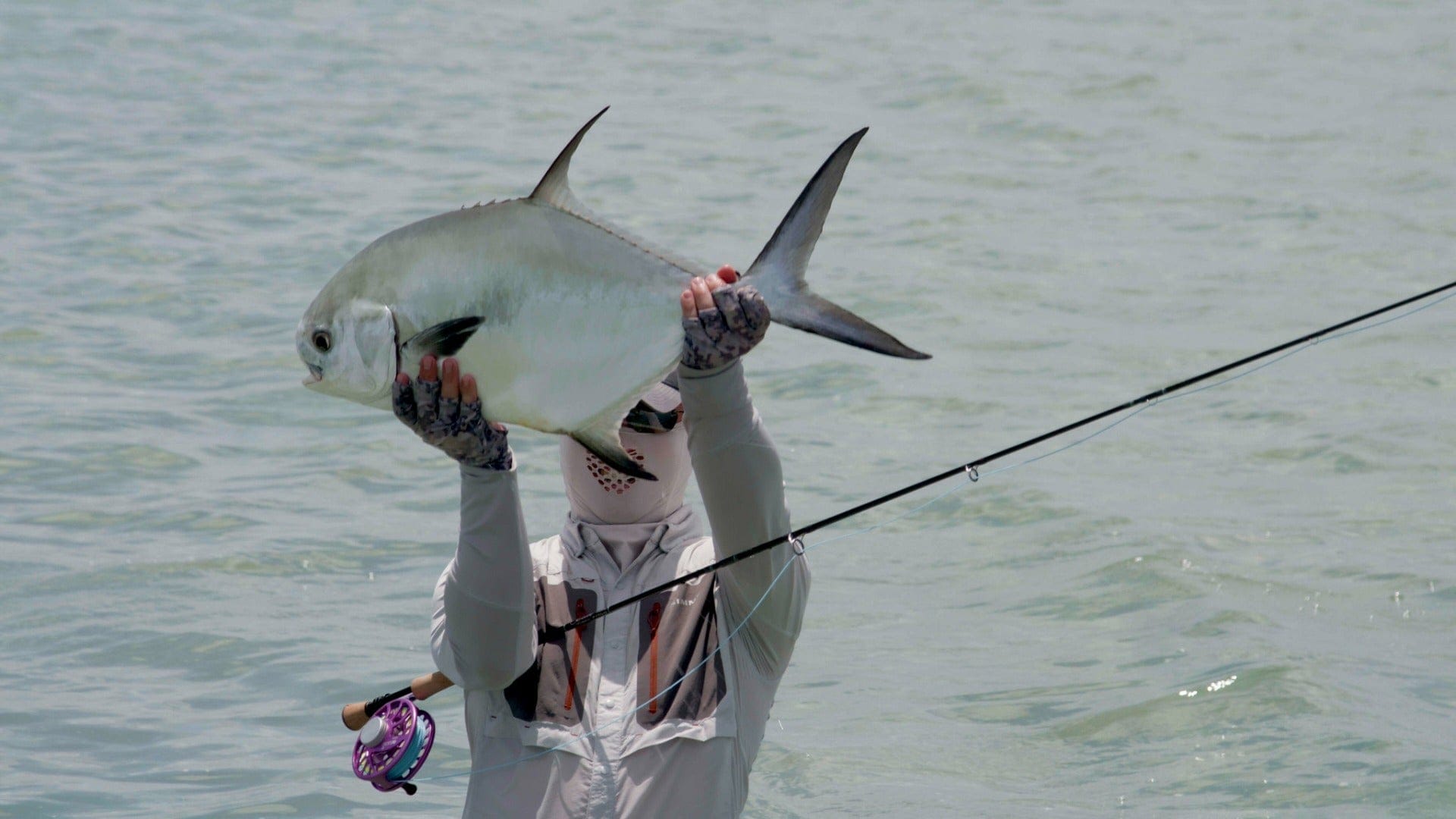 Palometa Club