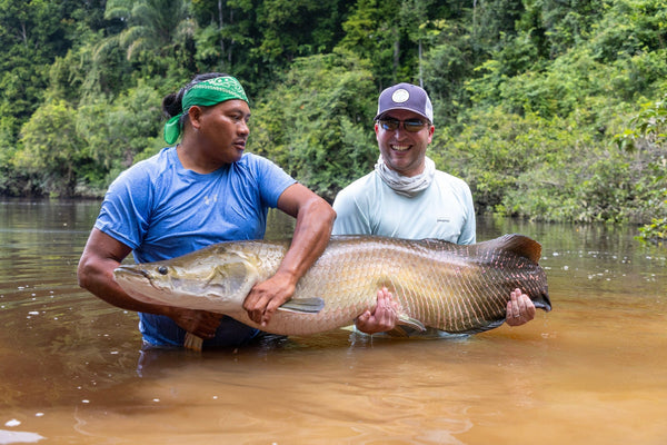 Two men in brown Rewa River holding a huge golden arapaima, blue shirt and green bandana on a jungle fishing trip