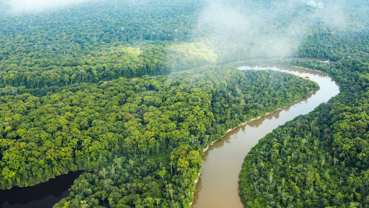 Rewa River Camps - Final Payment