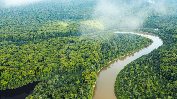 Rewa River Camps