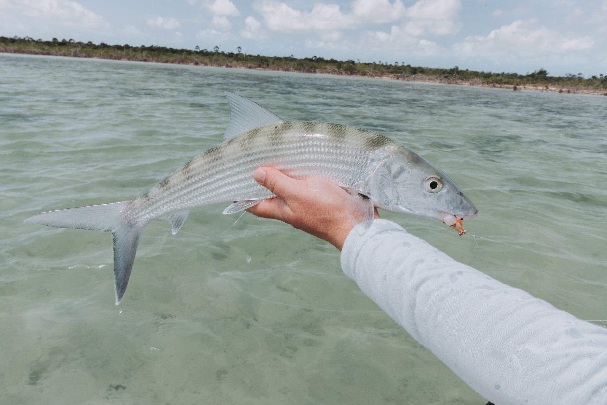 Swains Cay Lodge