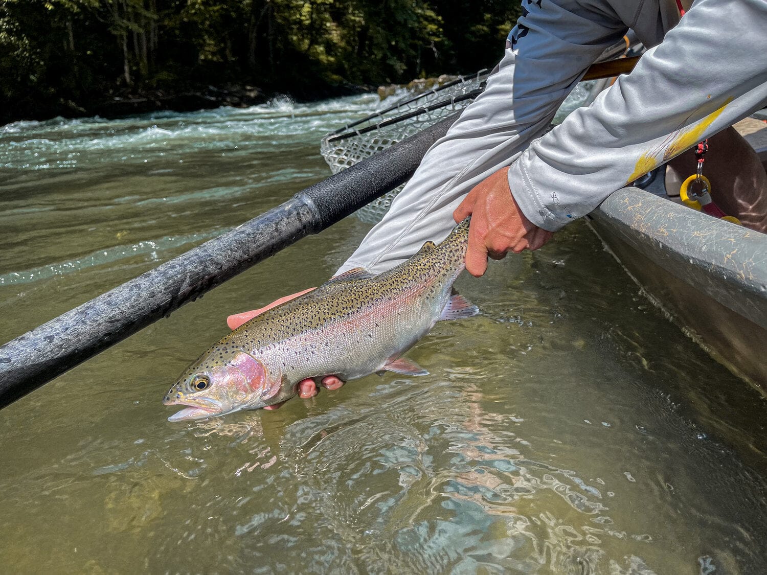 The Speckled Trout Outfitters
