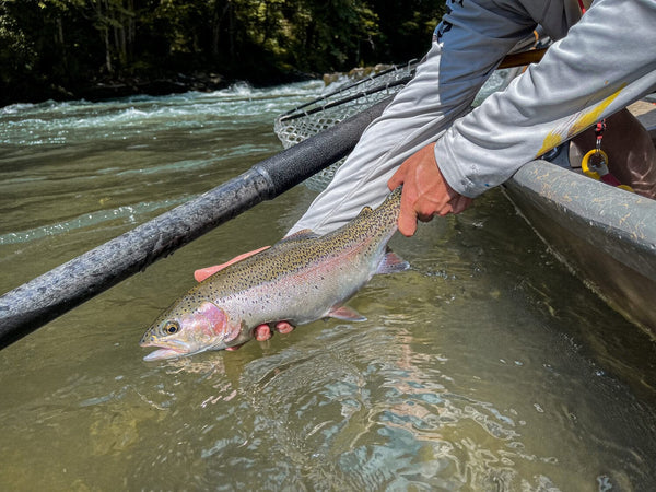 The Speckled Trout Outfitters