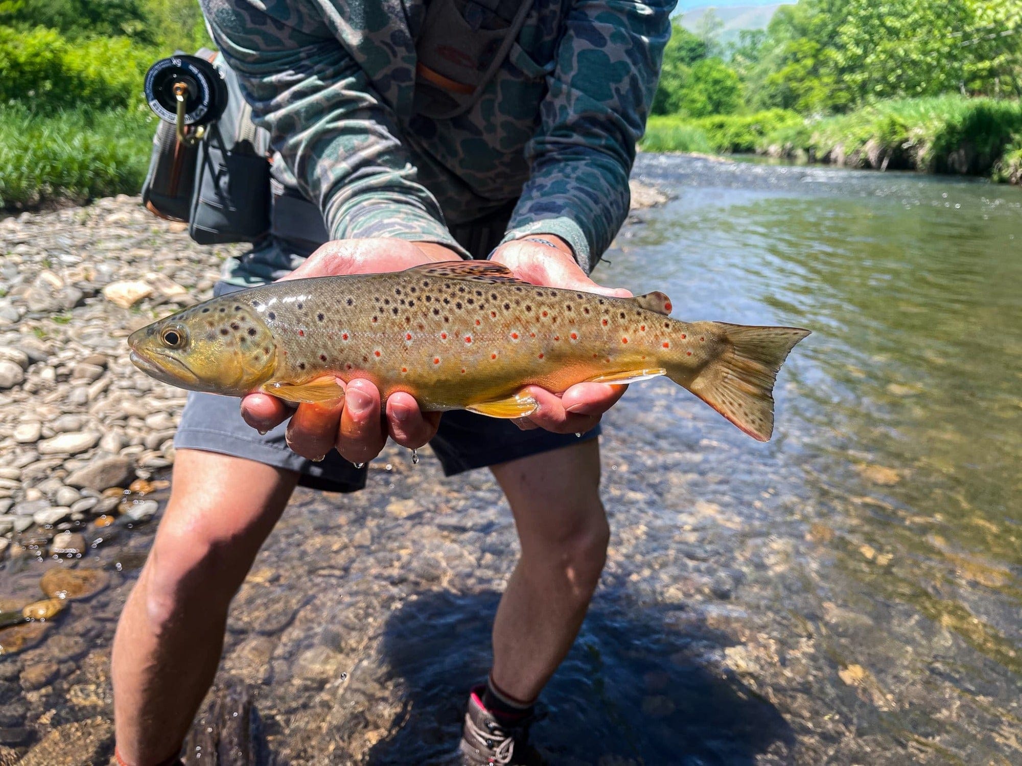 The Speckled Trout Outfitters