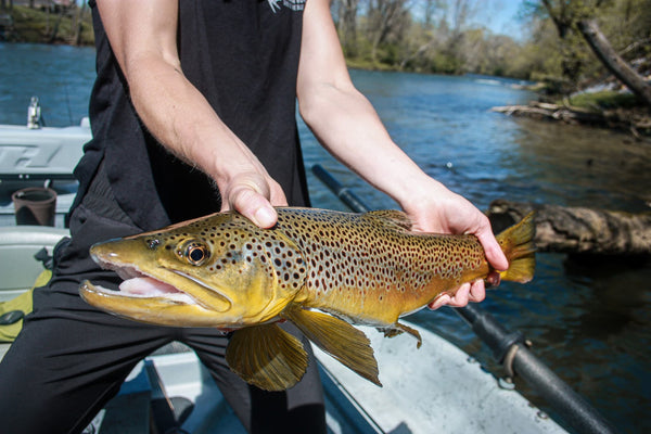 The Speckled Trout Outfitters